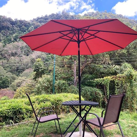 Los Lagos Lodge San Gerardo de Dota Exteriör bild