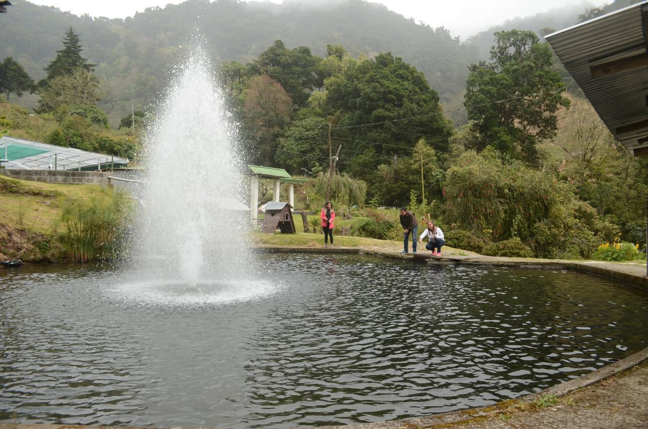 Los Lagos Lodge San Gerardo de Dota Exteriör bild
