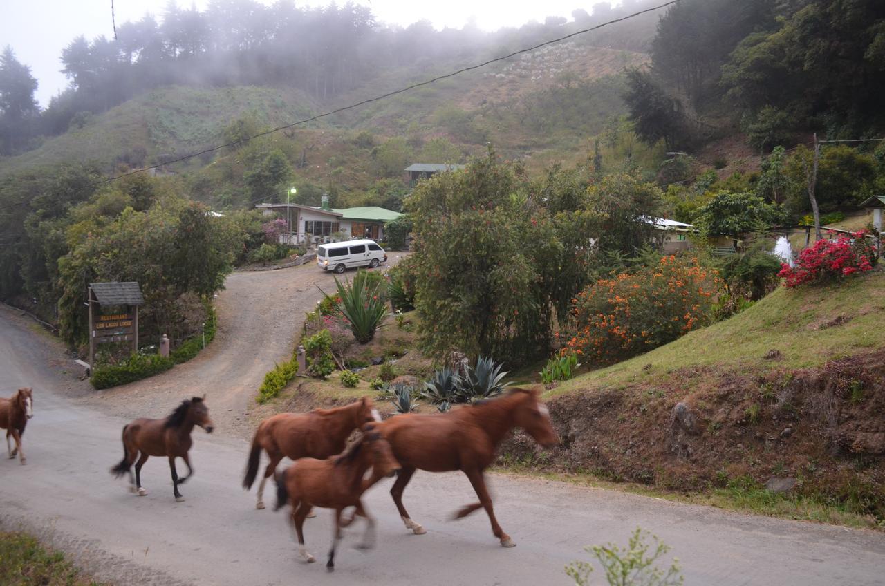 Los Lagos Lodge San Gerardo de Dota Exteriör bild