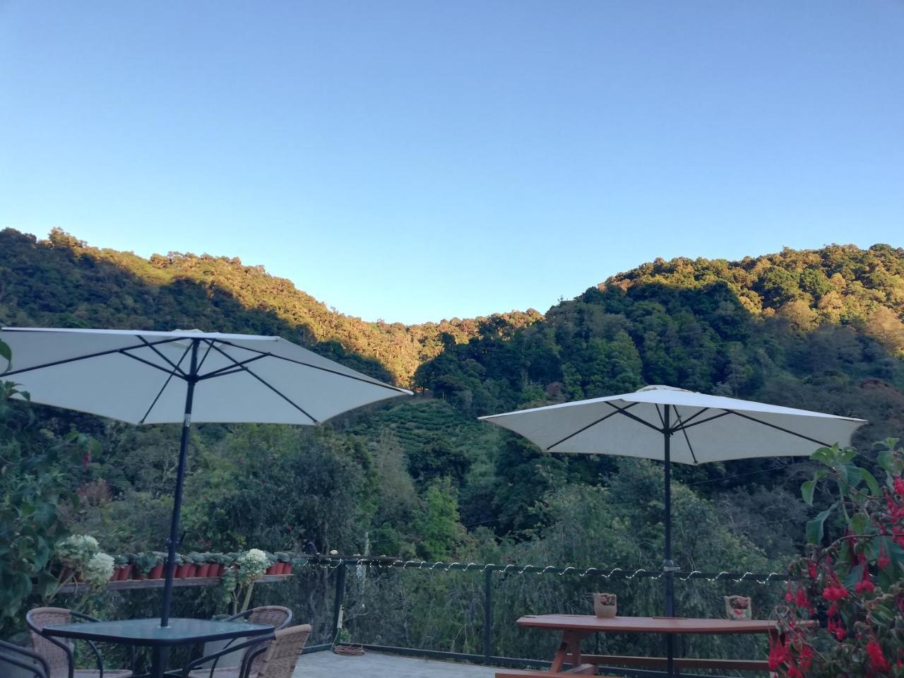 Los Lagos Lodge San Gerardo de Dota Exteriör bild