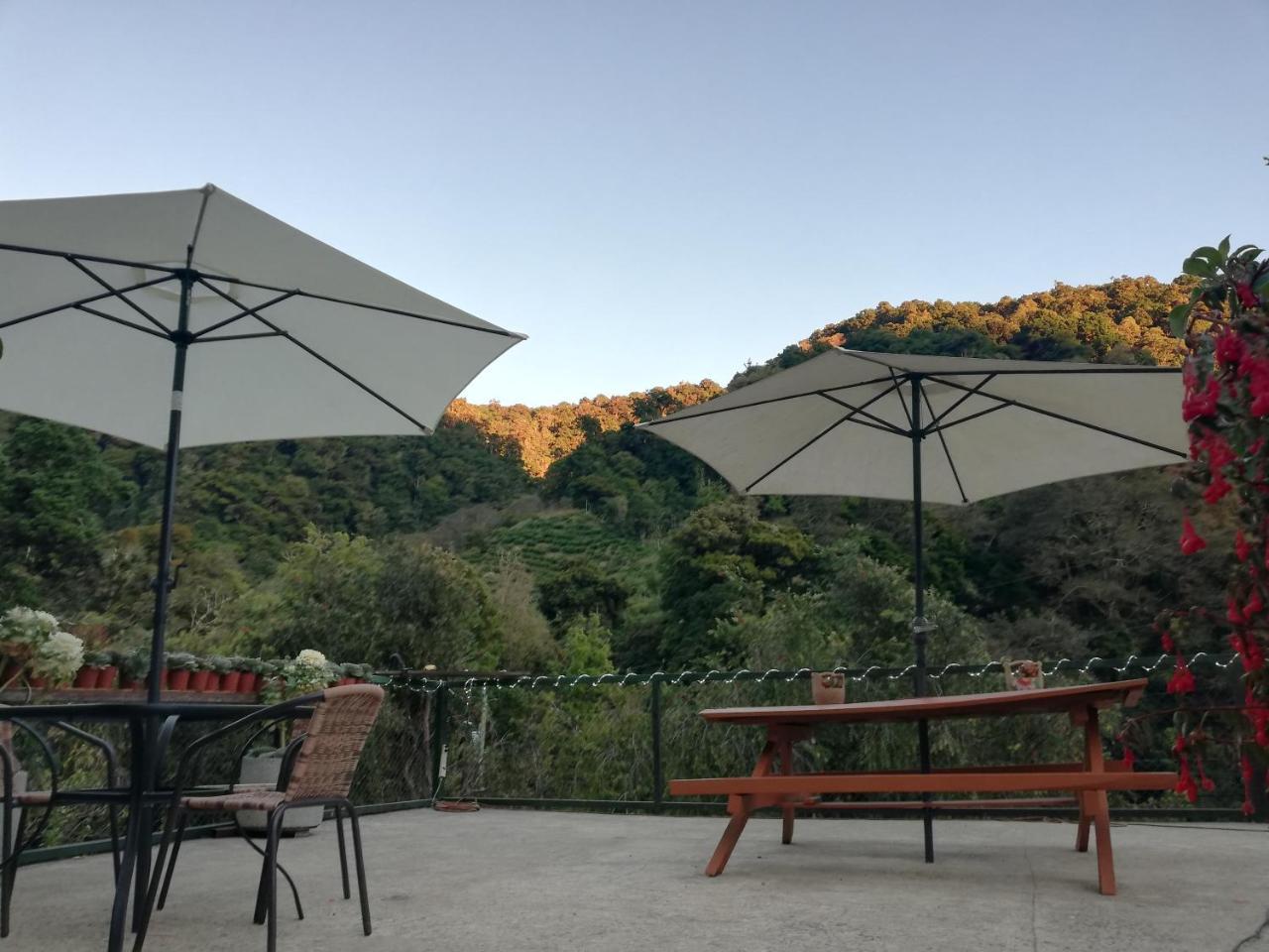 Los Lagos Lodge San Gerardo de Dota Exteriör bild